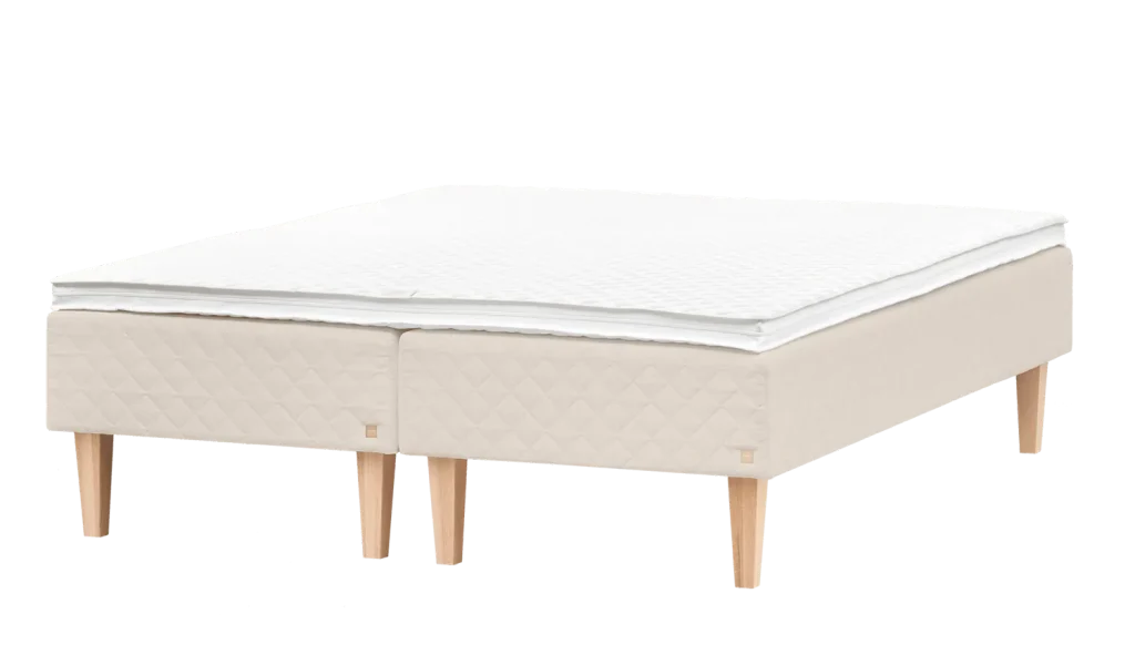 Cassia_sand_neu